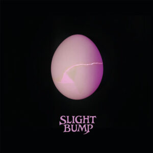 Slight Bump - CD